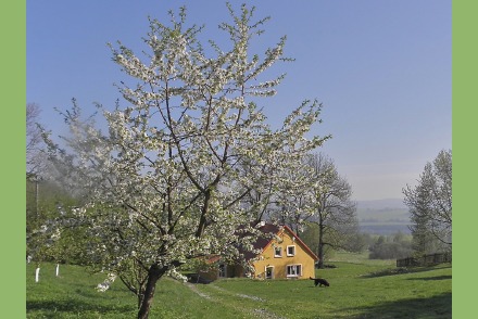 Landgoed Milire in het Boheemse Woud  in West Bohemen - Tsjechie HW4001